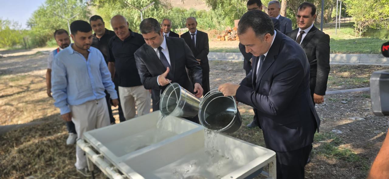 NAXÇIVANDA YENİ FƏALİYYƏTƏ BAŞLAYAN BALIQÇILIQ VƏ AKVAKULTURA MÜƏSSİSƏLƏRİNƏ BAXIŞ KEÇİRİLİB
