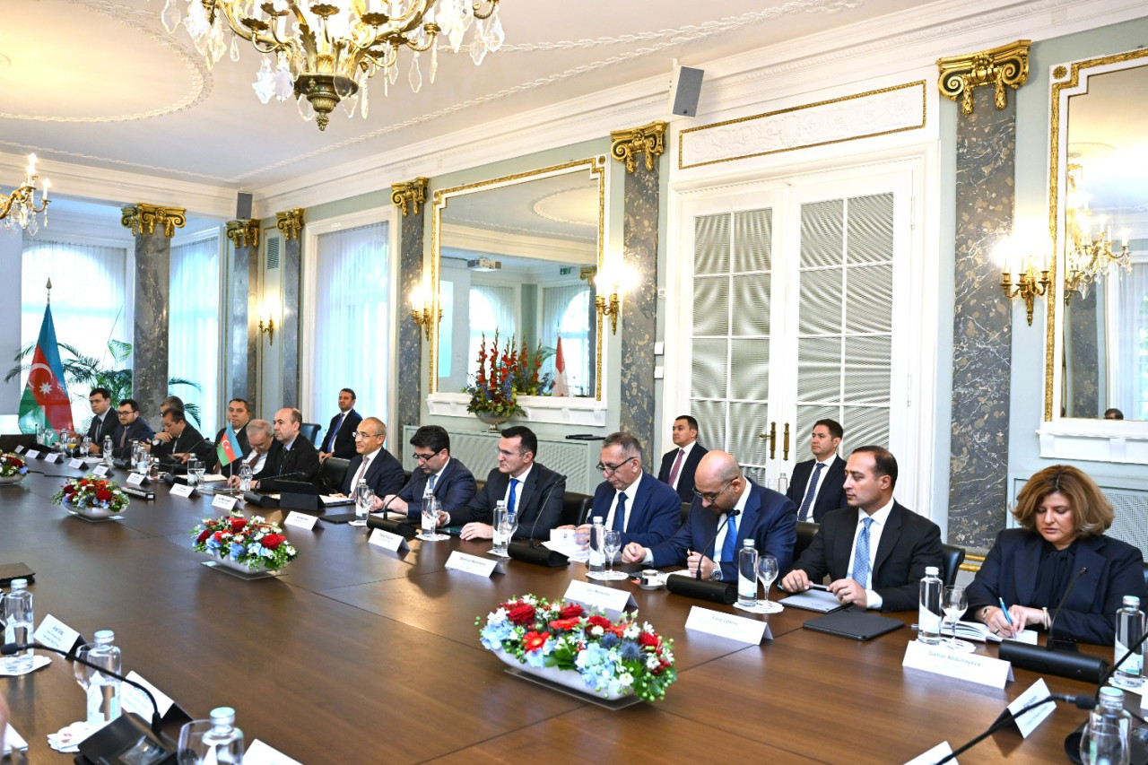 AZƏRBAYCAN NÜMAYƏNDƏ HEYƏTİ İSVEÇRƏYƏ İŞGÜZAR SƏFƏR EDİB